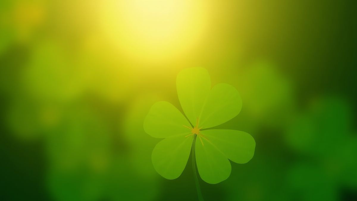 A four-leaf clover shining in the sun.