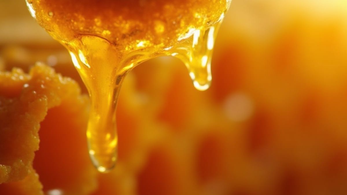 Een honingraat vol gouden honing.